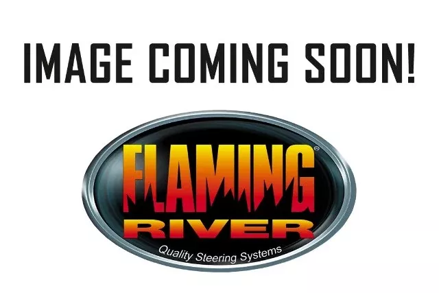 Flaming River FR1579 Power Steering Serpentine Pulley: 6"
